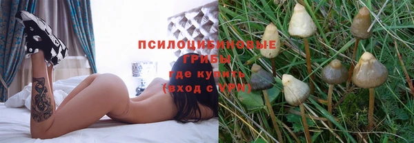 прущие крисы Богданович